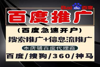 托管竞价sem案例分享：某电商平台的成功之路